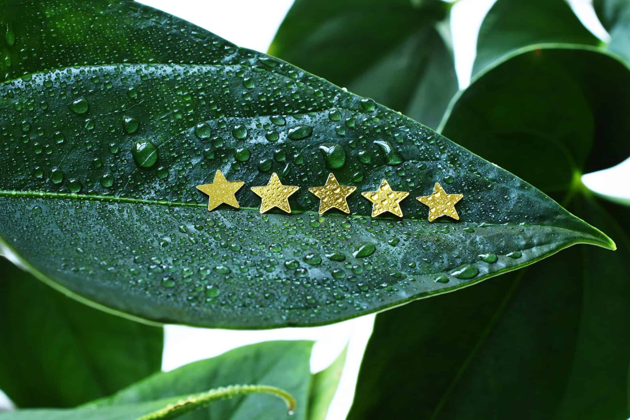 The Power of Customer Testimonials and How to Showcase Them on Your Website